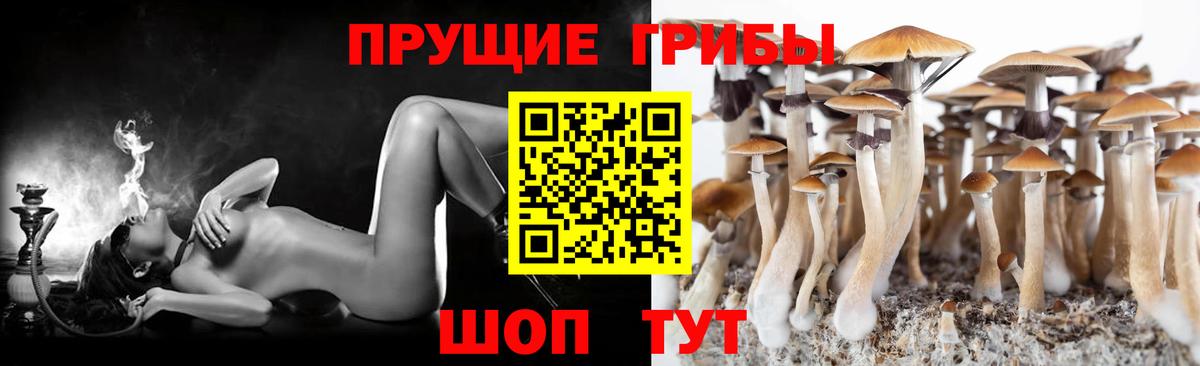 Псилоцибиновые грибы мухоморы  Галлюциногенные грибы Magic Shrooms  Мариинск  наркота  Вход с VPN 